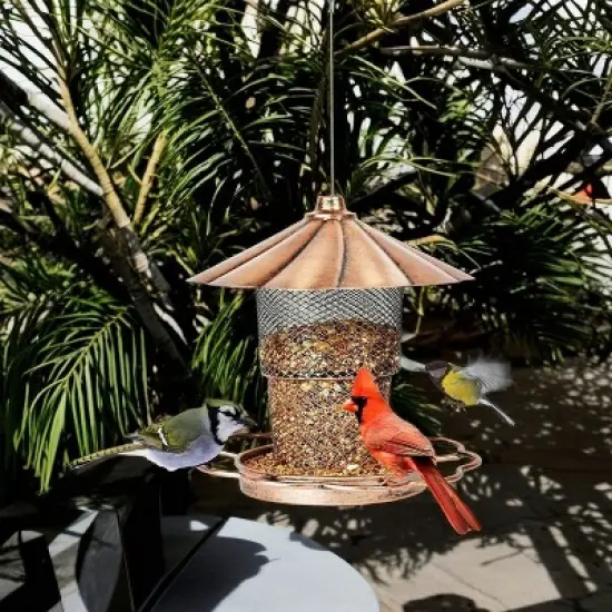 phiestina Bird Feeder with Lid, Heavy-Duty Metal, Petals-Shaped Roof, 360&deg; Feeding Ports, Bronze image {2}