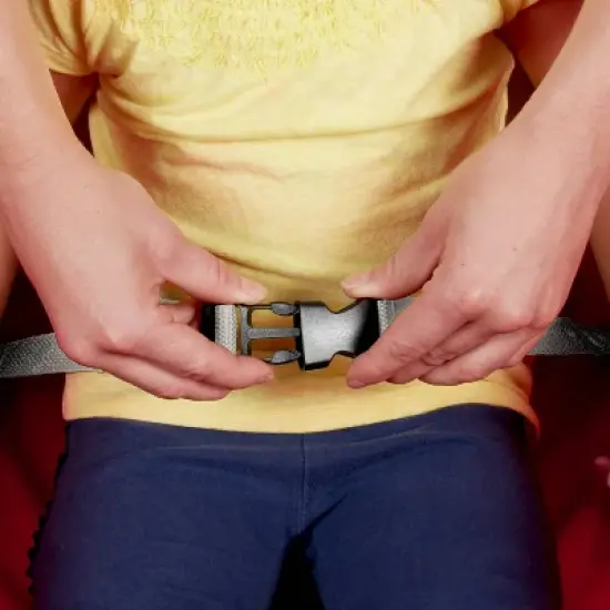 Radio Flyer 3 in 1 EZ Fold Wagon with Canopy - Red image {3}