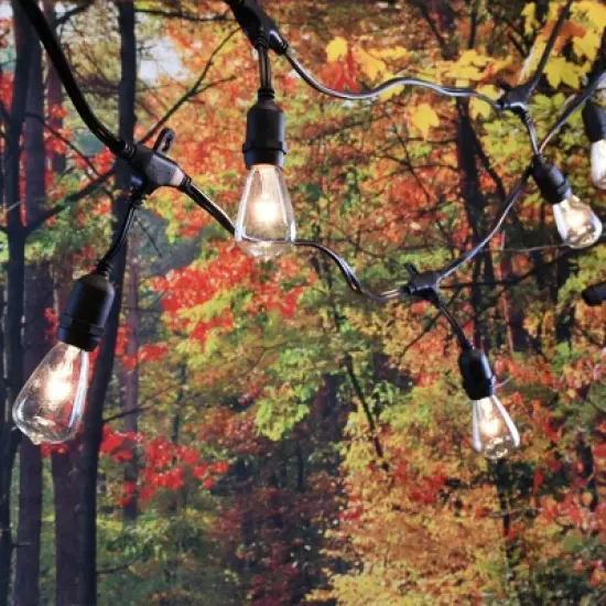 LumaBase Electric Commercial-Grade String Lights with 12 Edison Bulbs image {3}