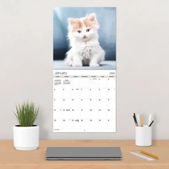 Trends International 2026 Cuddly Kittens 12"x12" Wall Calendar image {4}