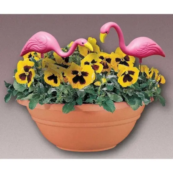 2pk - 11" Mini Mingo - Bloem image {8}