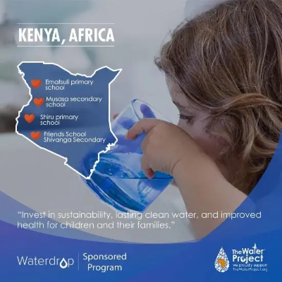 Waterdrop WD-CFF-01 Replacement Filter, Countertop Water Filter,1 Pack image {8}