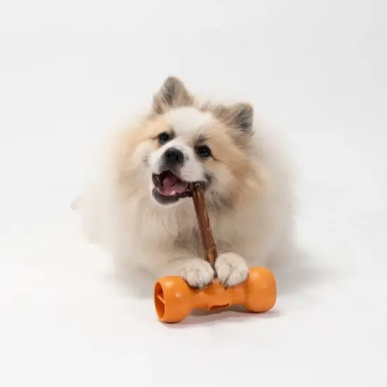 Bow Wow Buddy Safety Device Holder for Dog Bully Sticks and Chews image {4}