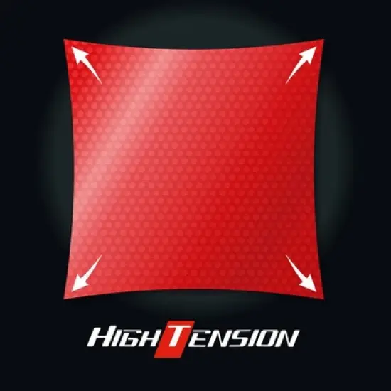 Butterfly Viscaria FL Pro-Line with Tenergy 05 image {3}