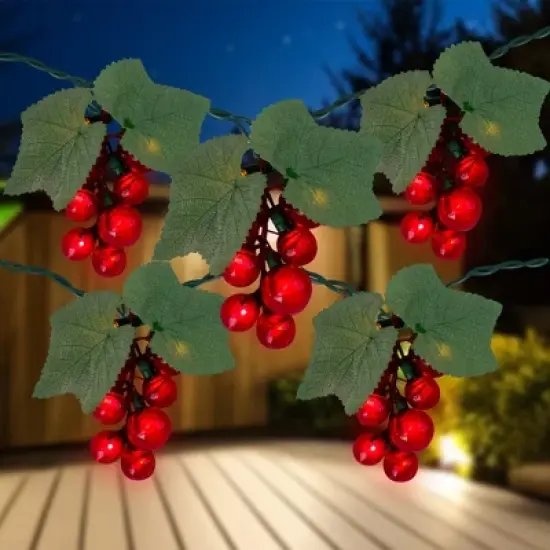 Northlight Grape Cluster Outdoor Patio String Light Set - Red - 6' Green Wire - 5ct image {2}
