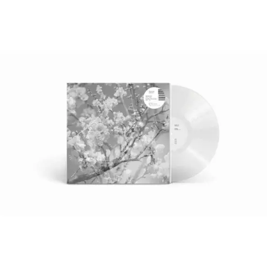 Masabumi Kikuchi - Hanamichi - The Final Studio Recording, Vol. II (Clear Vinyl) image {1}