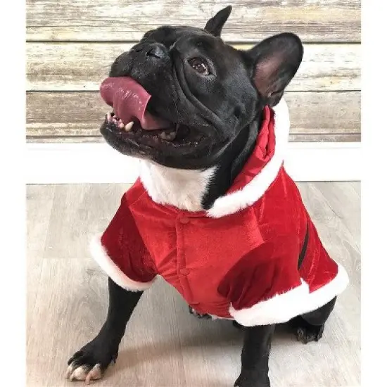 Parisian Pet 'Santa Claus Hoodie' for Dogs and Cats, Dog Christmas Holiday Apparel, Red image {2}