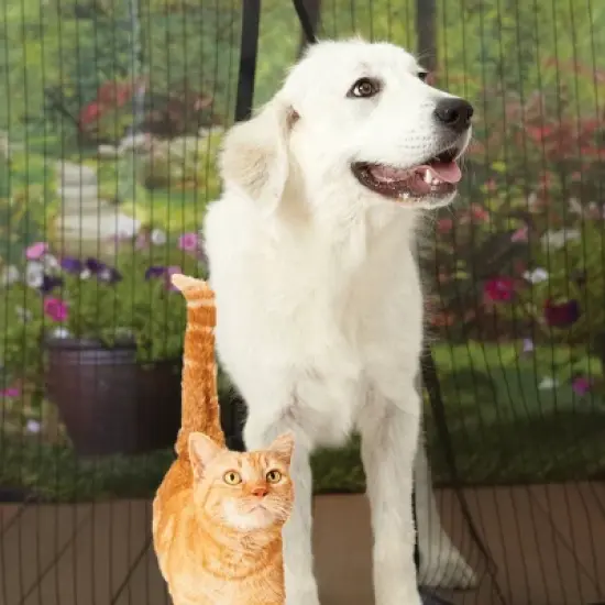 MAGIC MESH Screened Shelters Elite image {10}