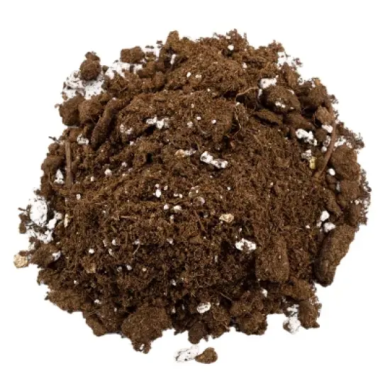 Soil Sunrise 8qt Succulent Potting Soil Mix, Custom Blend image {6}