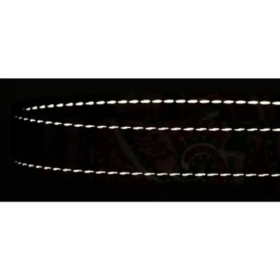 Country Brook Petz Deluxe Reflective Dog Leash 6 foot length image {3}