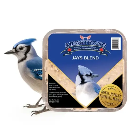 Armstrong Wild Bird Food Royal Jubilee Jay's Suet Cake, 10.6oz (Pack of 3) image {1}