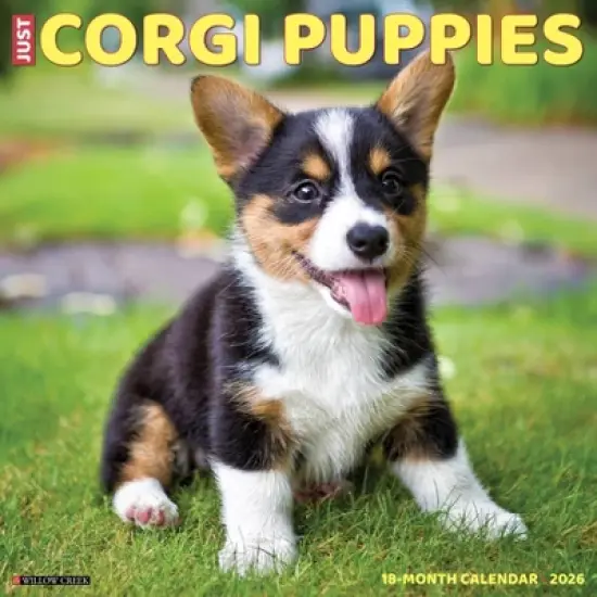 Willow Creek Press 2026 Corgi Puppies Wall Calendar image {5}