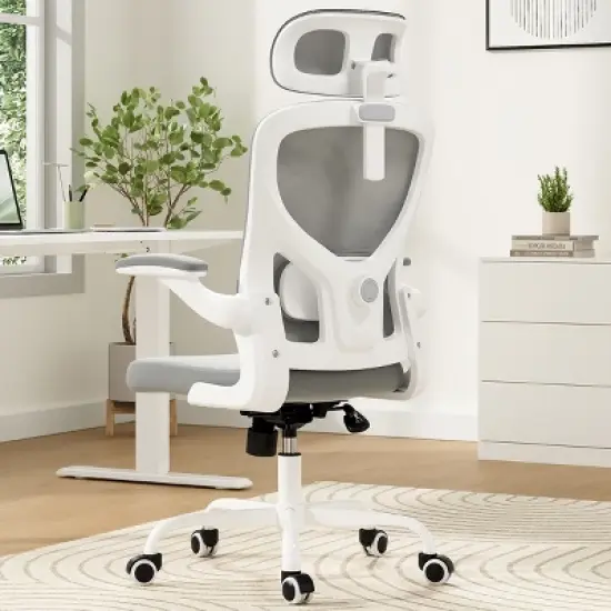 GlasFlength Task and Office Chairs with Support Armrest，Ergonomic, Adjustable，Computer Chair and Gaming Chair, Gray, 25.6"*27.2"*48.4" image {1}