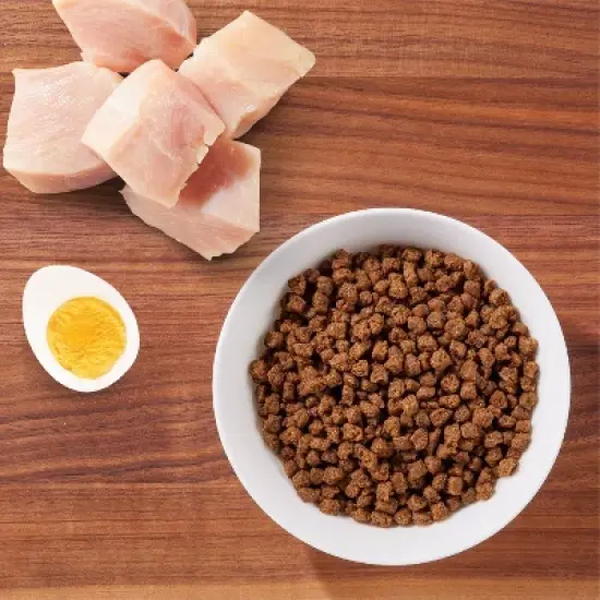 IAMS Proactive Health with Chicken Kitten Premium Dry Cat Food image {1}