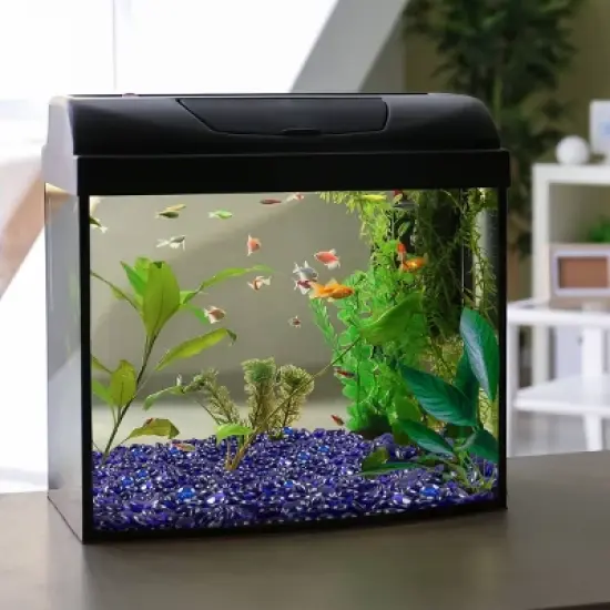 Home-Complete 10.47 lbs .75" Marbles Fire Glass Blue image {5}