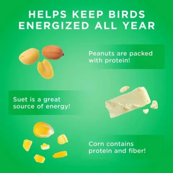 Audubon Park 11oz Nutty Suet Wild Bird Food image {3}