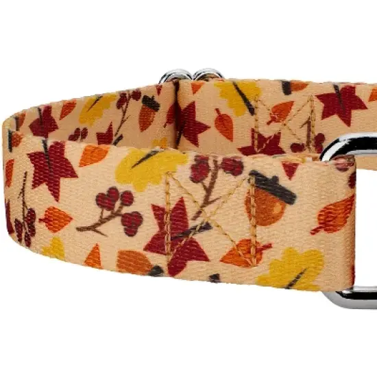 Country Brook Petz Fall Foliage Martingale Dog Collar and Leash image {3}