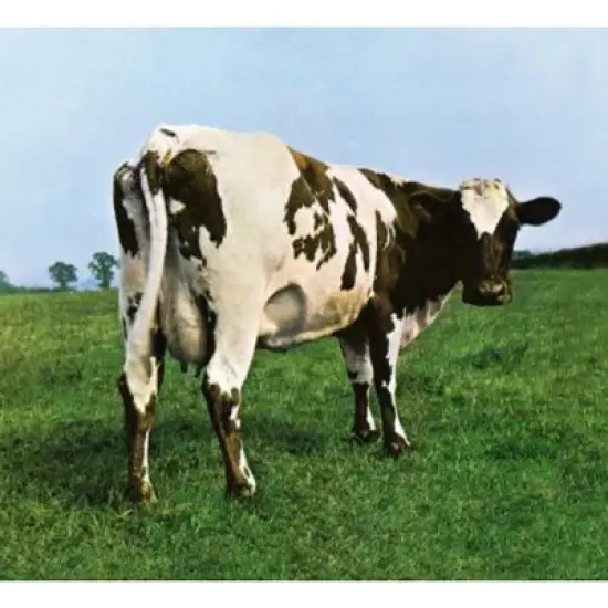 Pink Floyd - Atom Heart Mother image {1}