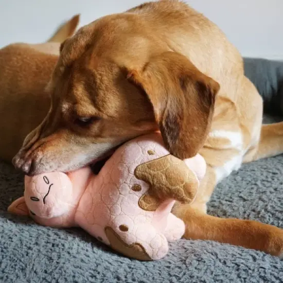 Bite Force Built with Kevlar Tough Plush Pig Dog Toy image {9}