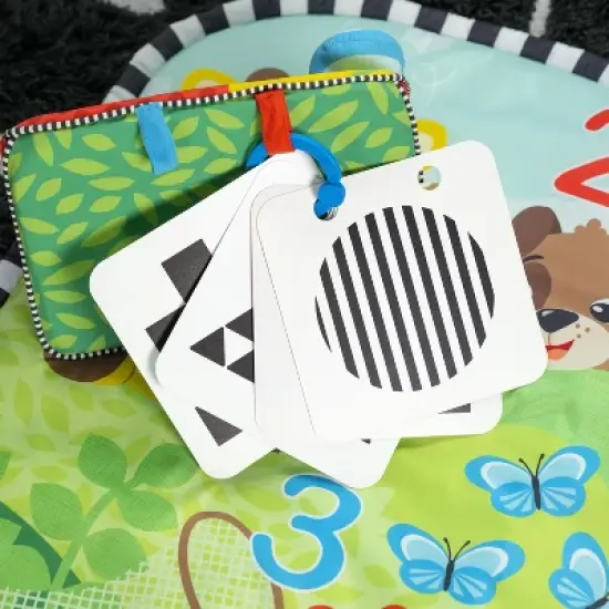 Baby Einstein Discover Garden Tummy Time Baby Playmat and Mirror image {10}