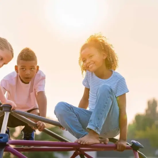 Lifetime 66-Inch Climbing Dome image {8}