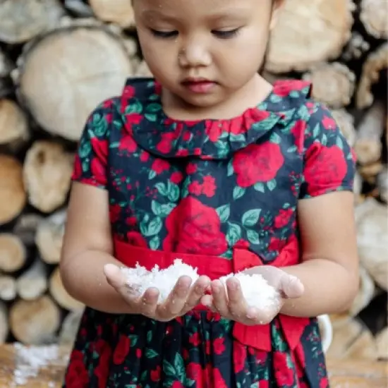 Hope & Henry Girls' Short Sleeve Ruffle Collar Party Dress with Bow, Toddler image {4}