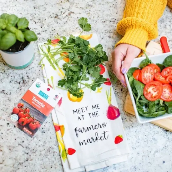 Back to the Roots 20pk Organic USA Herbs and Vegetable Seeds image {4}