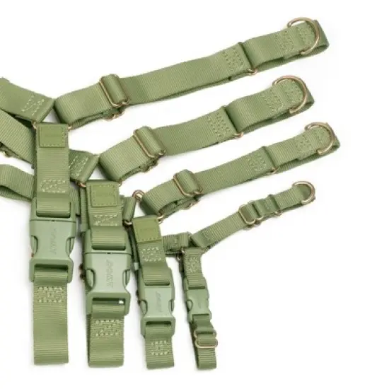 AWOO Roam No-pull Adjustable Recycled Dog Harness image {3}