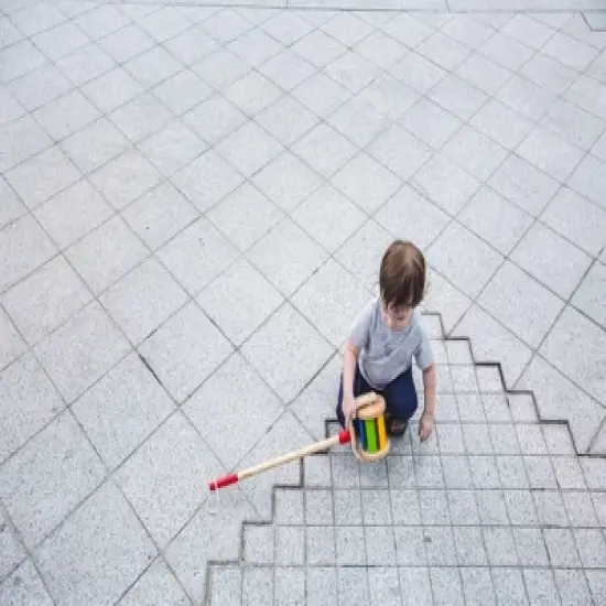 Plantoys| Walk N Roll image {3}