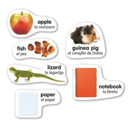 Scholastic Teaching Solutions English-Spanish Photo Word Wall Bulletin Board Set image {1}