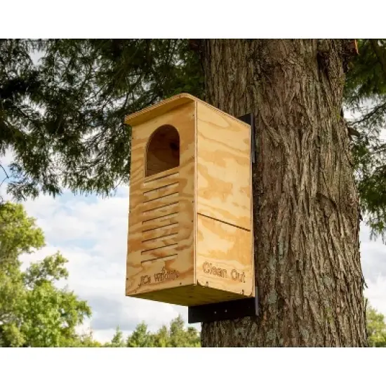 JCs Wildlife Barred Owl Nesting Box - Treated Exterior Grade Plywood - Mounting Hardware and Pine Shavings Included - Dedicated Clean Out Door for image {1}