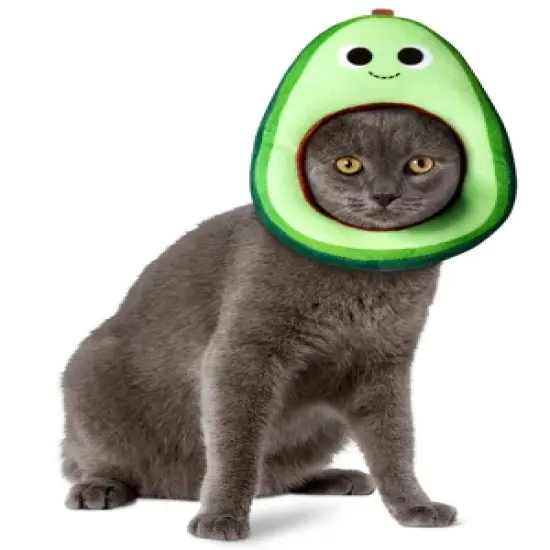 Rubies Yummy World Avocado Face Pet Headpiece Accessory image {4}