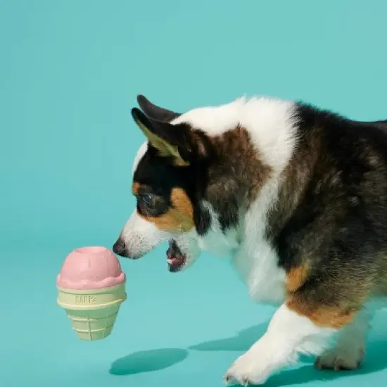 BARK Super Chewer I-Squeak Cone Ice Cream Dog Toy image {4}