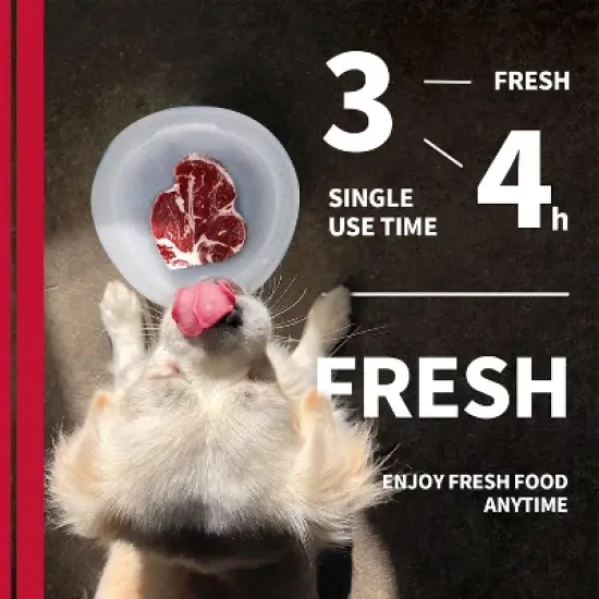 Allforpaws Dog Cooler Bowl, Keeps Water & Food Cool and Fresh for Hours, BPA Free image {5}