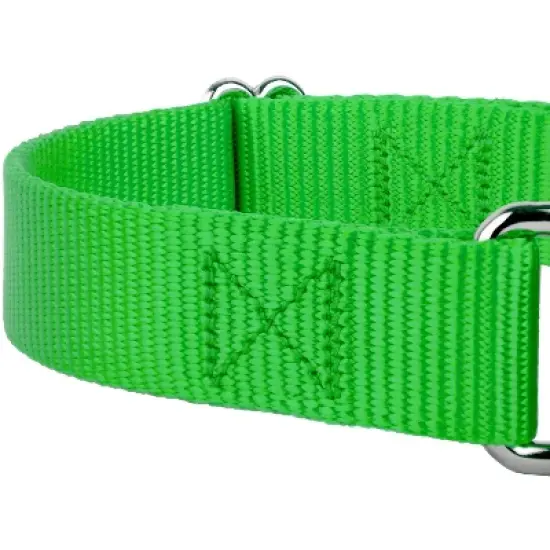 Country Brook Design Martingale Heavyduty Nylon Dog Collar and Double Handle Leash image {3}