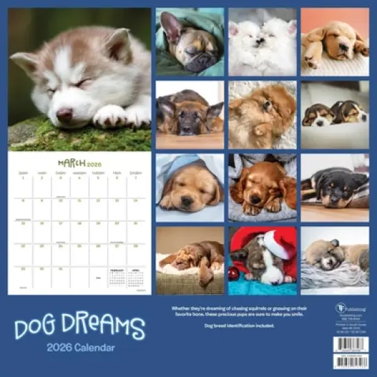 TF Publishing 13.5"x14.5" 2026 Dog Dreams Wall Calendar image {4}