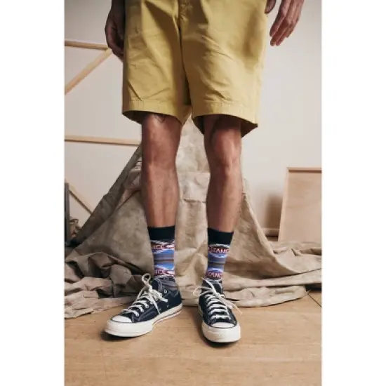 STANCE x WADE Men's Logo Dotted Crew Socks 2pk - Blue/Gray L image {8}