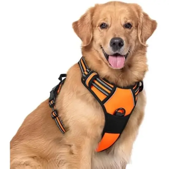 rabbitgoo Dog Harness No Pull image {6}