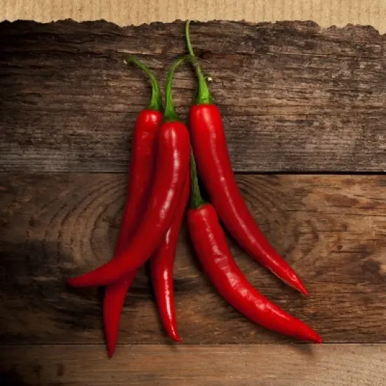 Hellmann's Spicy Mayonnaise Dressing  - 11.5 fl oz image {4}