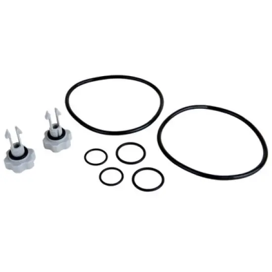 Intex 2,500 Gallon Filter Pump Replacement Seals Pack Parts | 25004 (2 Pack) image {1}