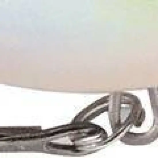 Rapala Jointed Shad Rap 07 Fishing Lure image {2}