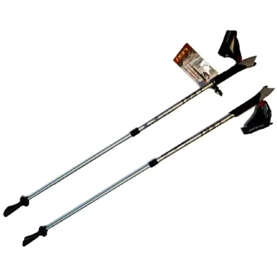 LEKI Nordic Walking Instructor Trekking Pole 100cm-130cm Silver image {1}