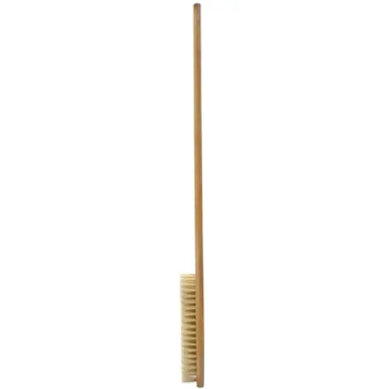 Cleanlogic Bamboo Body Brush - 1 ct image {2}