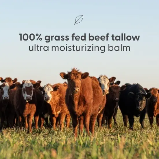 Grass Fed Beef Tallow Balm, Moisturizing Balm with Cold-Pressed Olive Oil & Beeswax for Skin, Body & Face, Scented or Unscented, M3, 2oz image {6}
