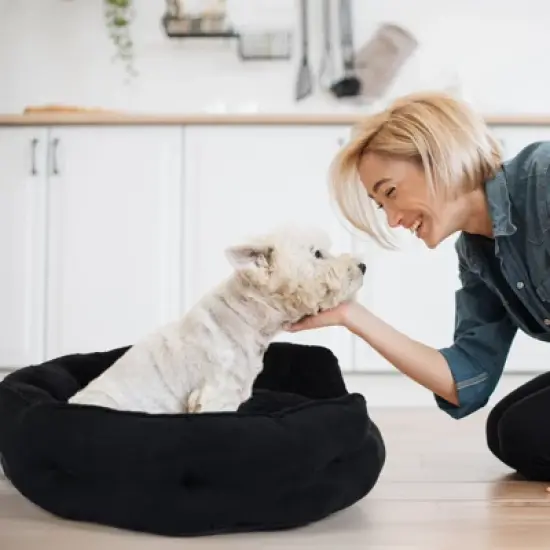 PureWags Small Dog Bed, Round Cat Bed Washable for Indoor Cats, Non-Slip Base and Removable Cushion, Pet Bed for Puppy and Kitten image {7}