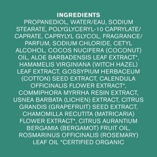 Every Man Solid Deodorant Jack Sea Salt + Citrus - 3oz image {11}