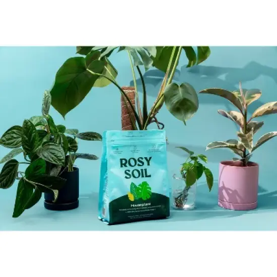 Rosy Soil Potting Soil image {6}