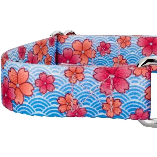 Country Brook Petz Martingale Dog Collar - Spring Collection image {4}