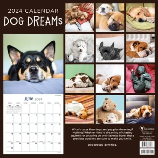 TF Publishing 2024 Wall Calendar 12"x12" Dog Dreams image {4}