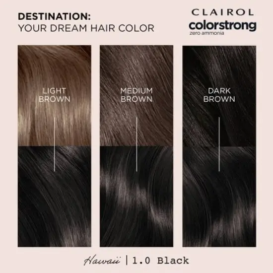 Clairol ColorStrong Ammonia Free Permanent Hair Color Dye Kit - 1 Black image {3}